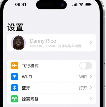 乳山appleID维修服务iPhone设置中Apple ID显示为灰色无法使用 