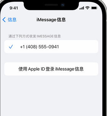 乳山apple维修iPhone上无法正常发送iMessage信息 