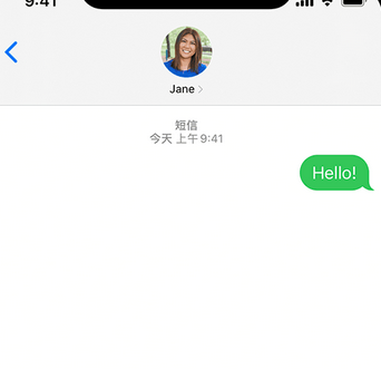 乳山apple维修iPhone上无法正常发送iMessage信息