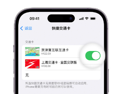 乳山apple维修点分享iPhone上更换Apple Pay快捷交通卡手绘卡面 