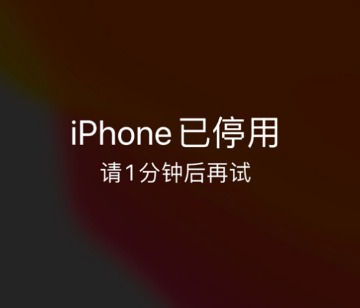 乳山苹果手机维修分享:iPhone 显示“不可用”或“已停用”怎么办？还能保留数据吗？ 