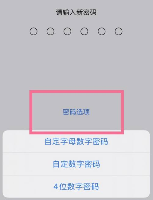 乳山苹果14维修分享iPhone 14plus设置密码的方法 