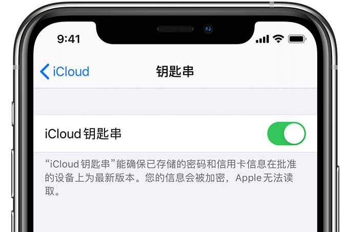 乳山苹果手机维修分享在 iPhone 上开启 iCloud 钥匙串之后会储存哪些信息 