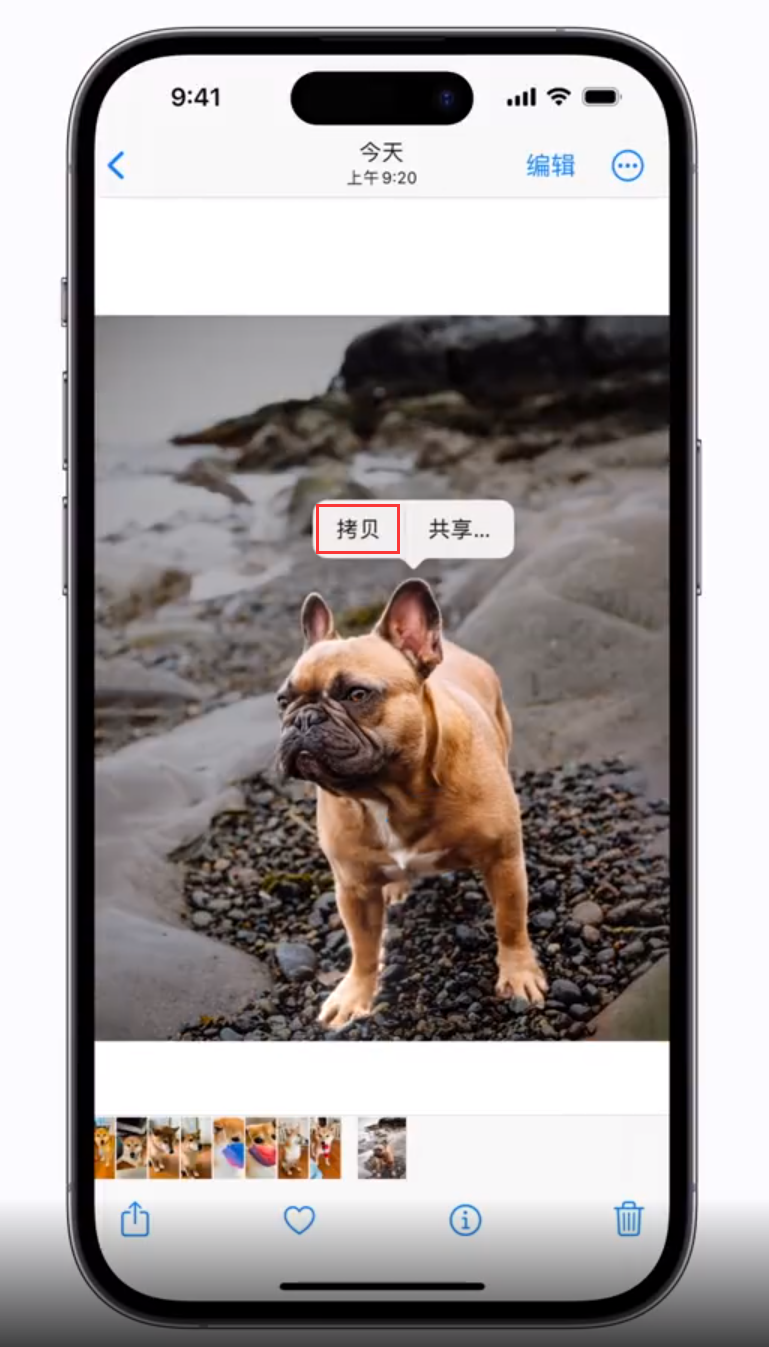 乳山苹果手机维修分享 iOS 16 自带一键抠图功能 
