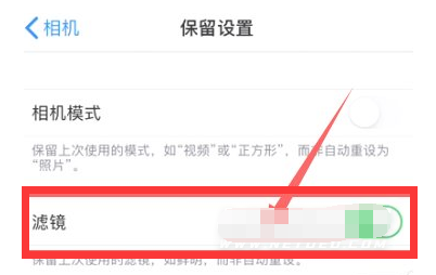 乳山苹果13维修分享iPhone13拍照有绿点是怎么回事 