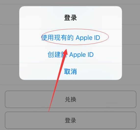 乳山苹果手机维修分享两台iPhone设备可以同时登录一个Apple ID吗 