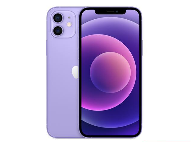 乳山苹果手机维修分享现阶段要不要入手紫色版iPhone12 