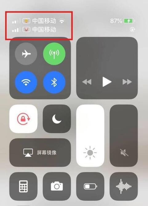 乳山苹果手机维修分享为 iPhone 12 双卡设置标签 